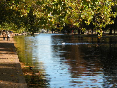 Bedford