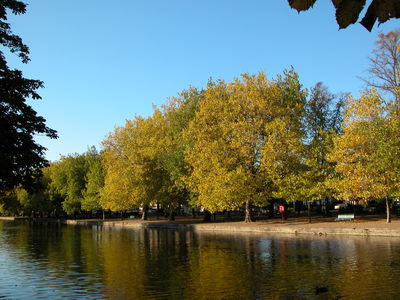 Bedford