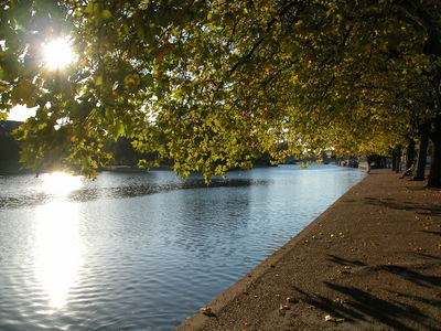 Bedford