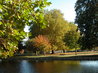 Bedford