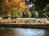 Bedford