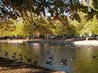 Bedford