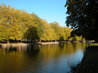 Bedford