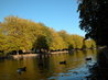 Bedford