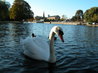 Bedford