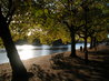 Riverside Bench