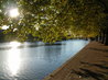 Bedford