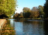 Bedford