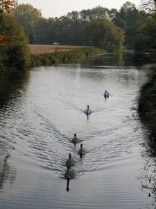 Wrest Park Gardens