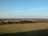 Houghton House