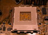 Processor Socket 462