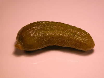 Pickled Gherkin