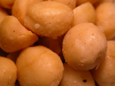 Macadamia