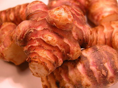 Jerusalem Artichokes