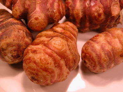 Jerusalem Artichokes