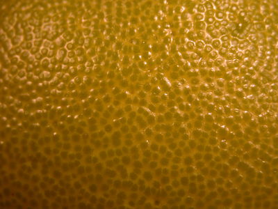 Pomelo Skin