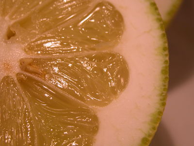 Pomelo Segments