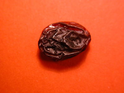 Raisin