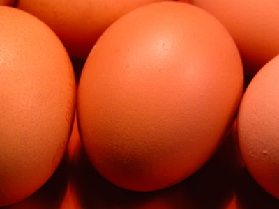 Eggs