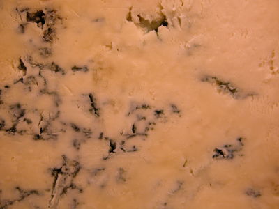 Stilton