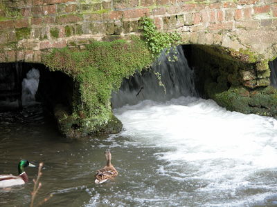 City Mill