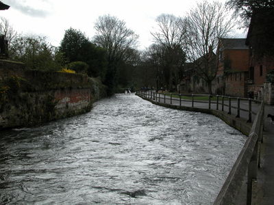 Winchester