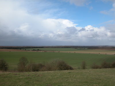 Danebury Hill Fort