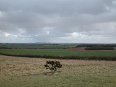 Danebury Hill Fort