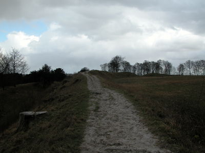 Danebury Hill Fort