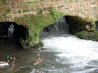 City Mill