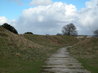 Danebury Hill Fort