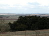 Danebury Hill Fort