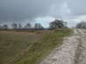 Danebury Hill Fort