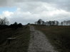 Danebury Hill Fort