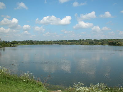 Ferry Meadows Country Park