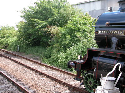 The Mayflower