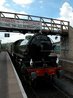 Nene Valley Railway