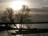 Stewartby Lake