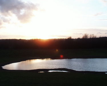 Sunset viewed across the pool