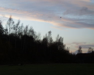 Sunsets