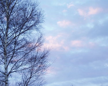 Sunsets
