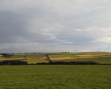 Wind Farm