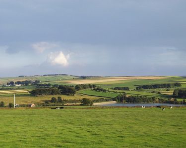 Countryside