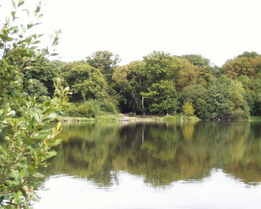 Hatfield Forest