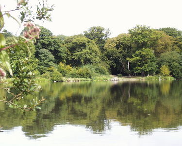 Hatfield Forest