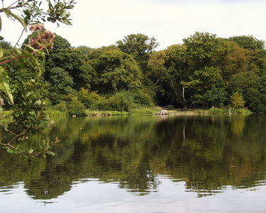 Hatfield Forest