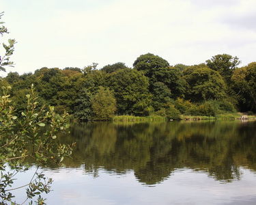 Hatfield Forest
