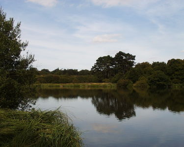 Hatfield Forest
