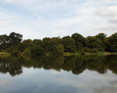 Hatfield Forest