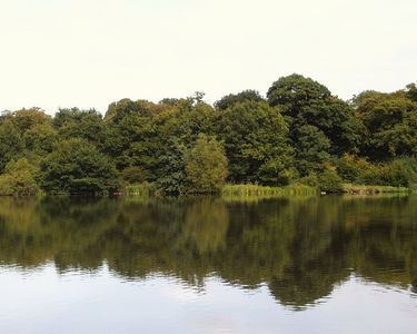 Hatfield Forest